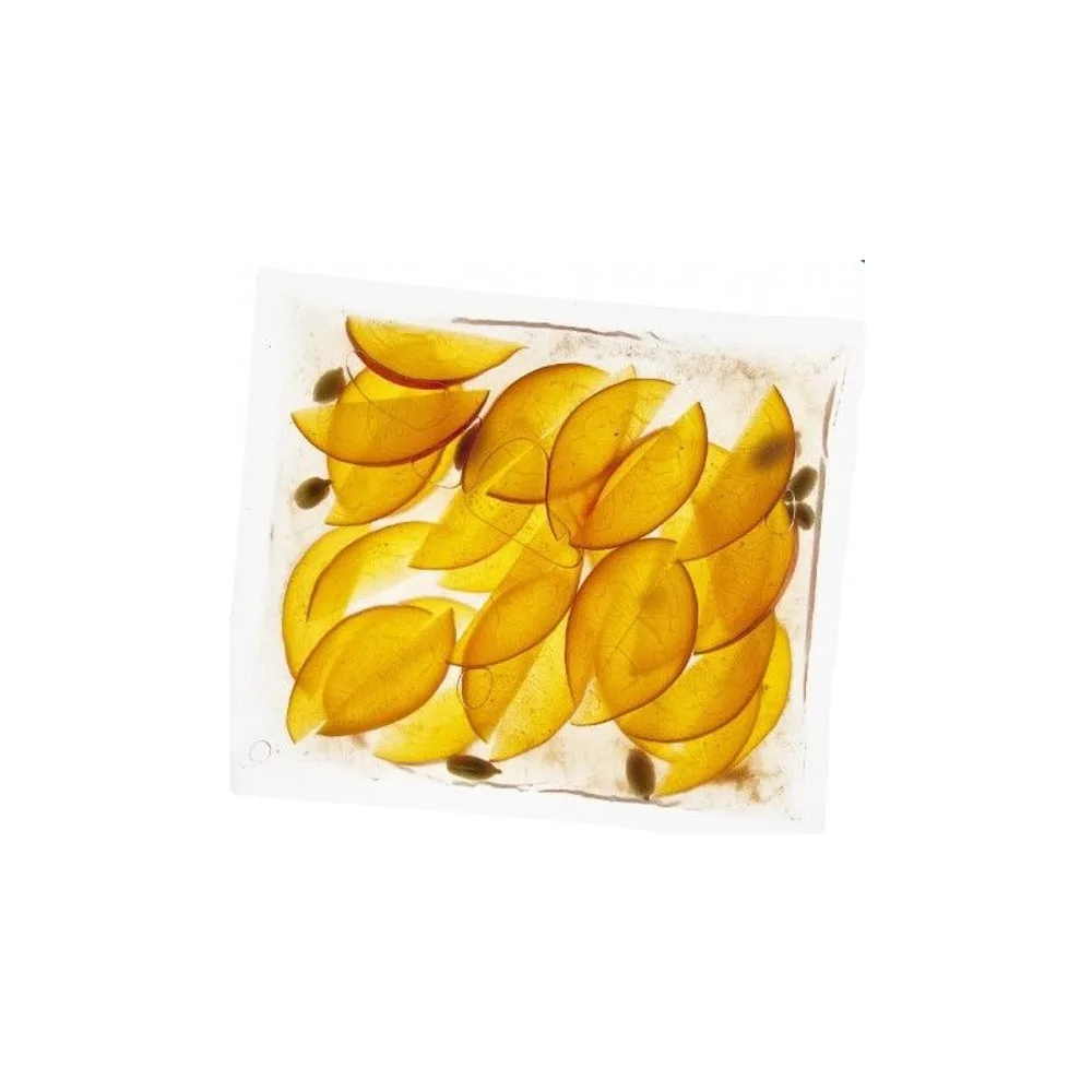 sachets sous vide